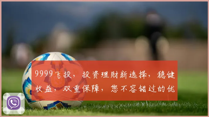 9999飞投，投资理财新选择，稳健收益，双重保障，您不容错过的优质项目